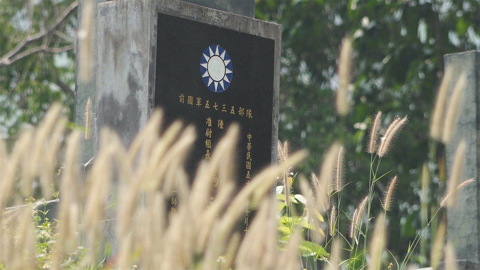 草叢中刻有青天白日徽與「前國軍五七三五部隊」字樣的孤軍墓碑